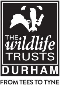 Durham Wildlife Trust logo